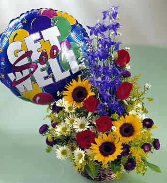 send get well flower dallas tx