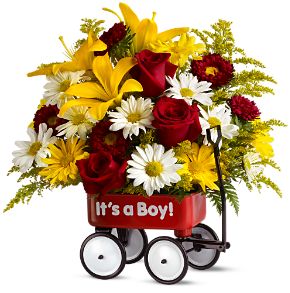 new baby flowers delivery to st paul university